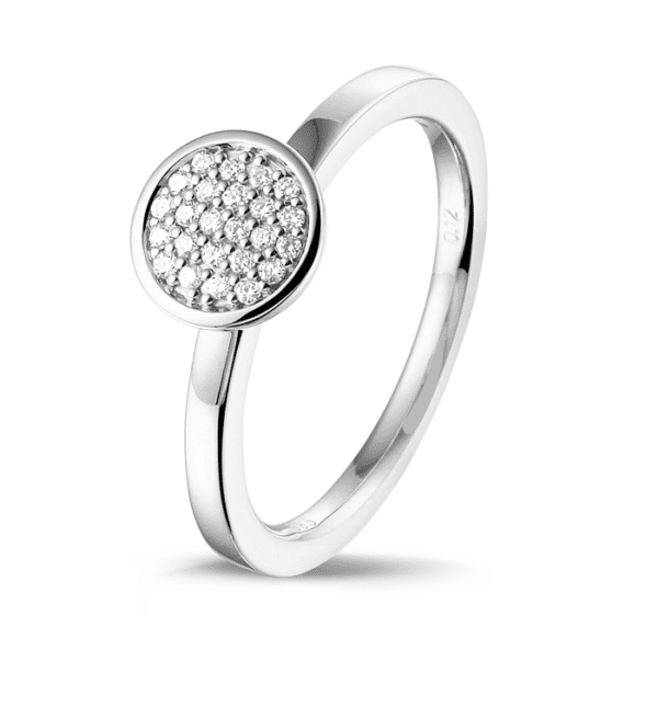 Perfect Ring
